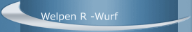 Welpen R -Wurf