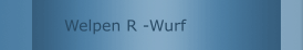 Welpen R -Wurf