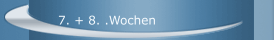 7. + 8. .Wochen