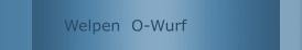 Welpen  O-Wurf