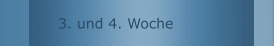 3. und 4. Woche